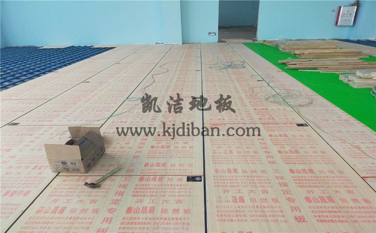 佛山南海區(qū)綠電能源有限公司體育館木地板項目