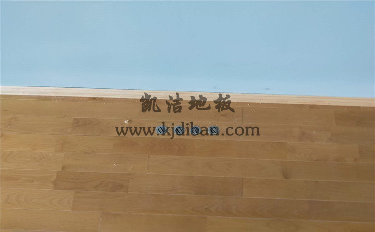 佛山南海區(qū)綠電能源有限公司體育館木地板項目